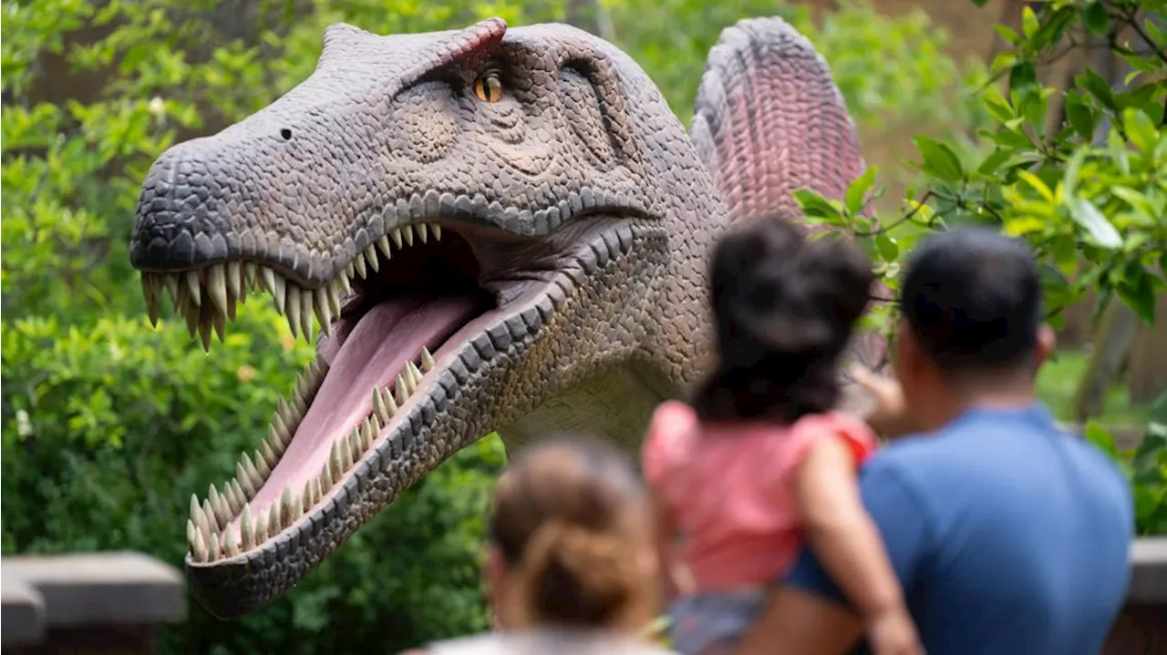 Dinosaur Island exhibit returns to Columbus Zoo and Aquarium