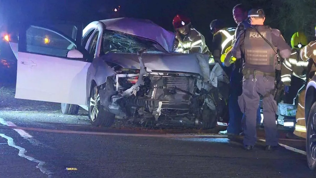 Teenage boy killed as car veers off road and crashes into tree in Salt Ash, NSW