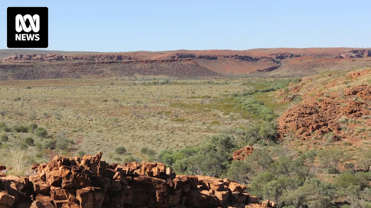 Rock found in WA's Pilbara could be the oldest recorded evidence of complex life on Earth