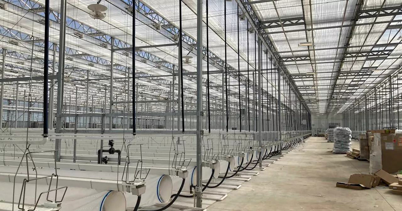 North Dakota tribe goes back to its roots with a massive greenhouse operation