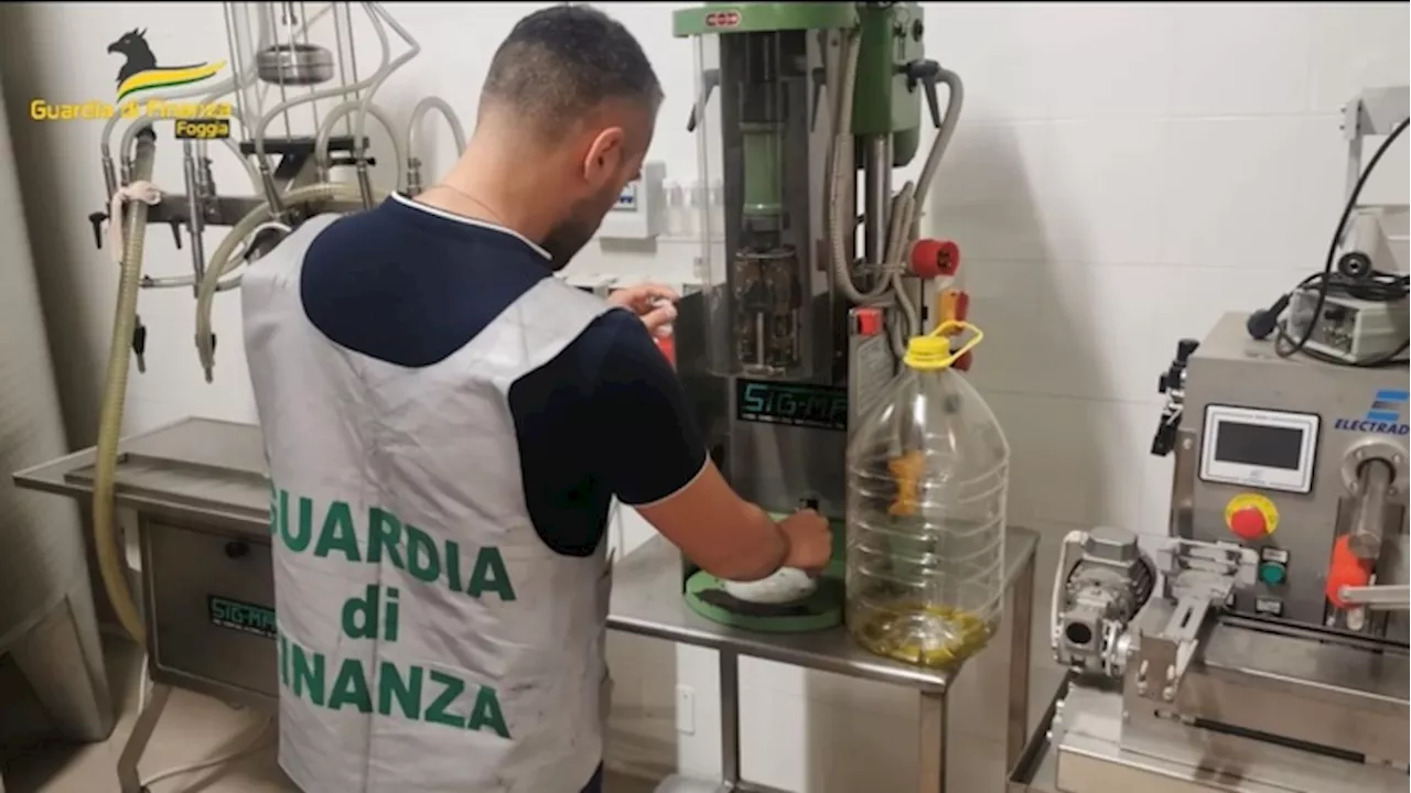 Olio extravergine adulterato, sequestrati 37mila litri in Puglia