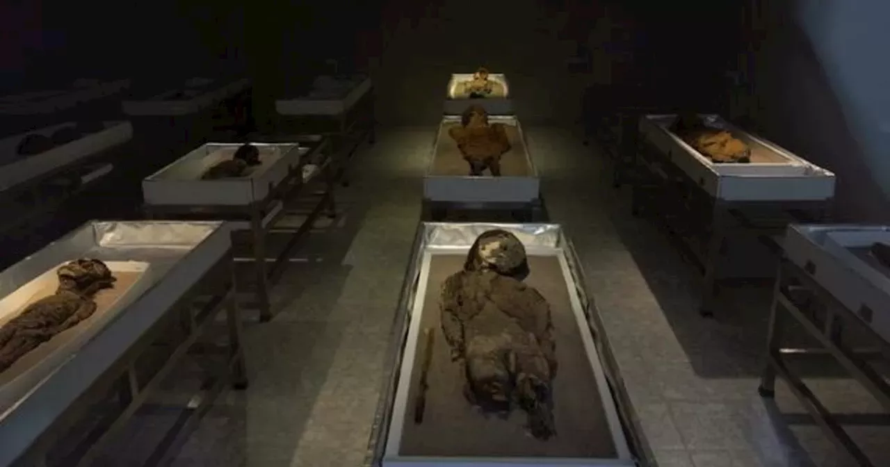 Racing Against Time: Preserving Ancient Chincorro Mummies in Chile's Atacama Desert