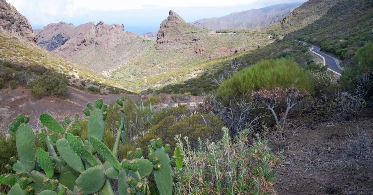 Wildland where Jay Slater last seen and the 'eerie signs of life' found