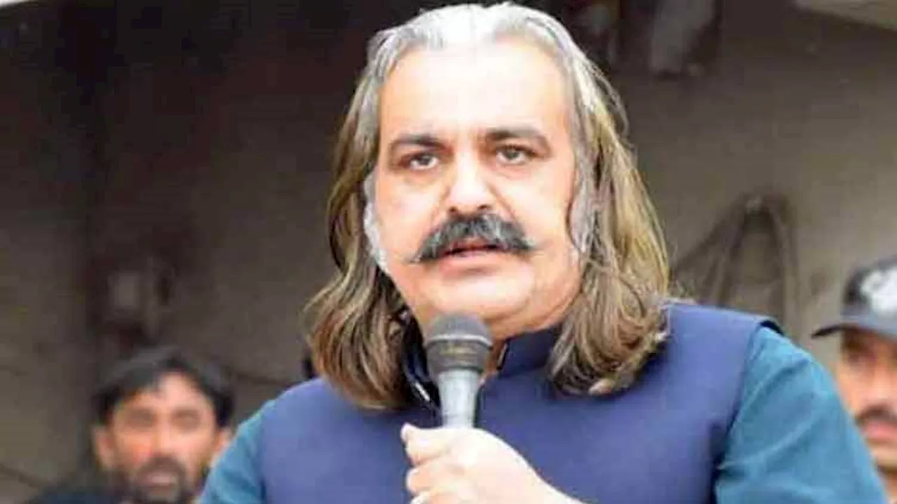 Nation will go on hunger strike with Imran Khan, says Ali Amin Gandapur