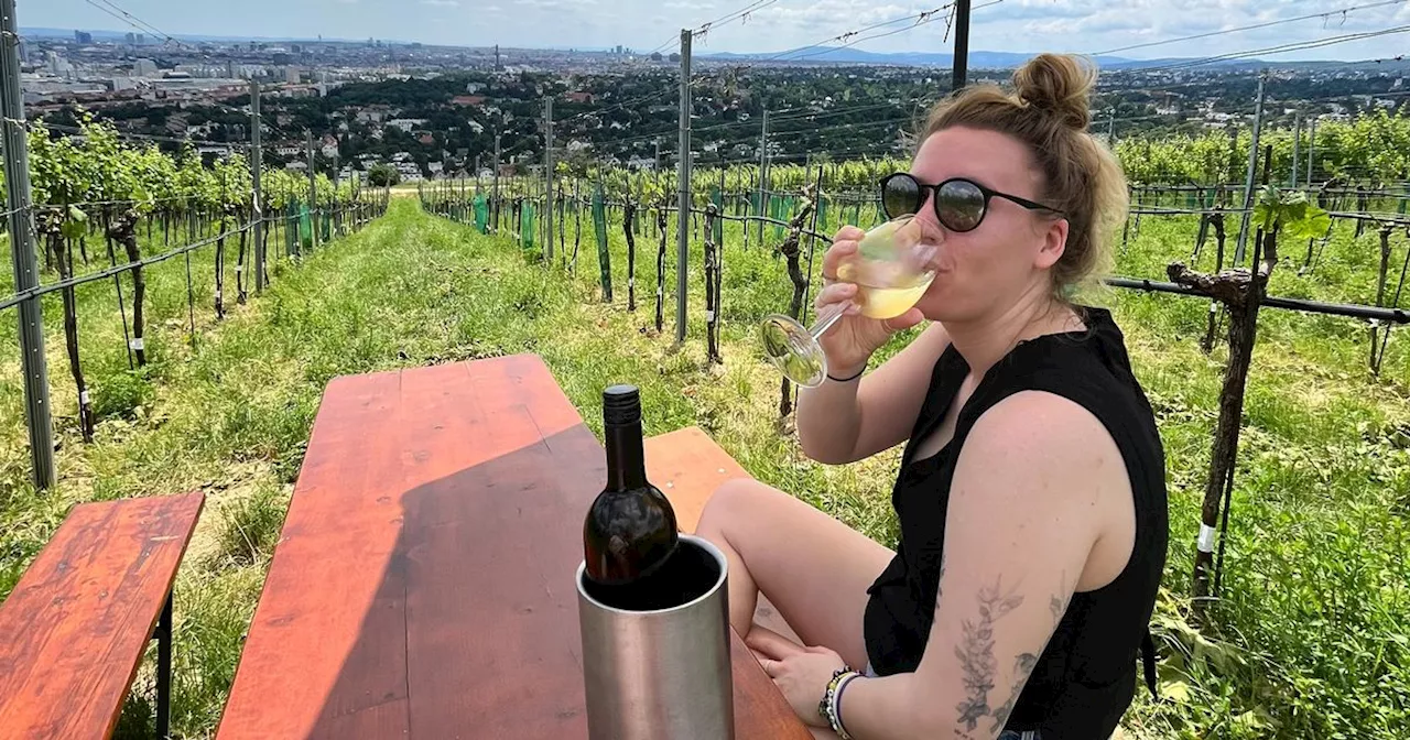 'I visited the surprising European city overlooked for its wines'