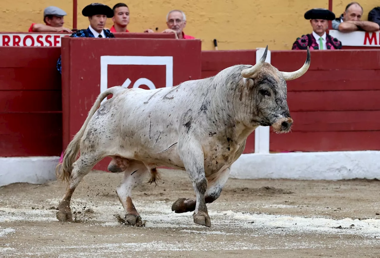 Bella e interesante corrida de Sobral