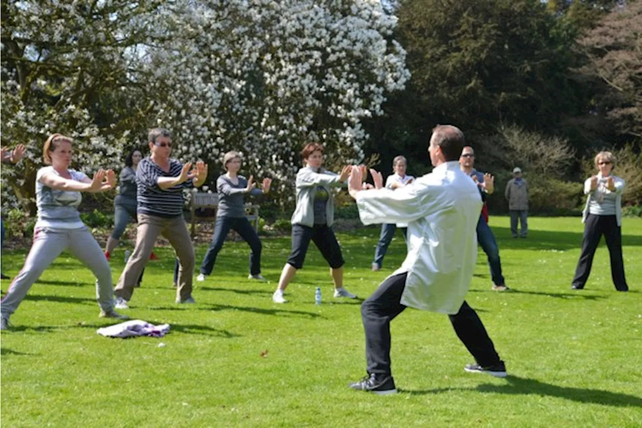 Zen in de zomer: Tai chi in het Steytelinckpark