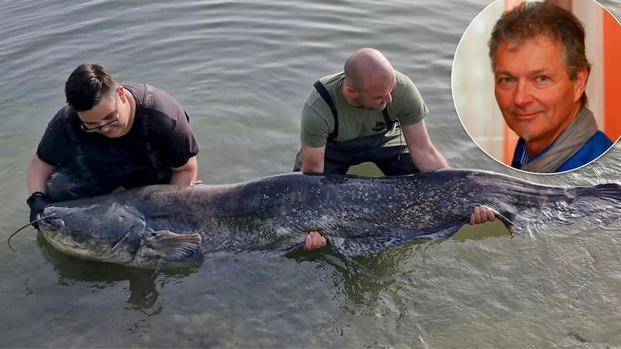 'Gehe nie wieder in See' – Fisch schockiert Badegäste