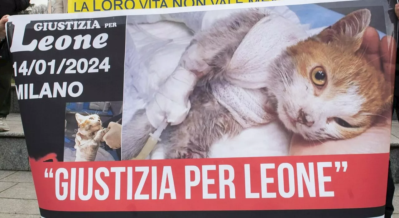 Animali maltrattati, arrivano pene più severe. La strage dal cane Aron alle altre vittime