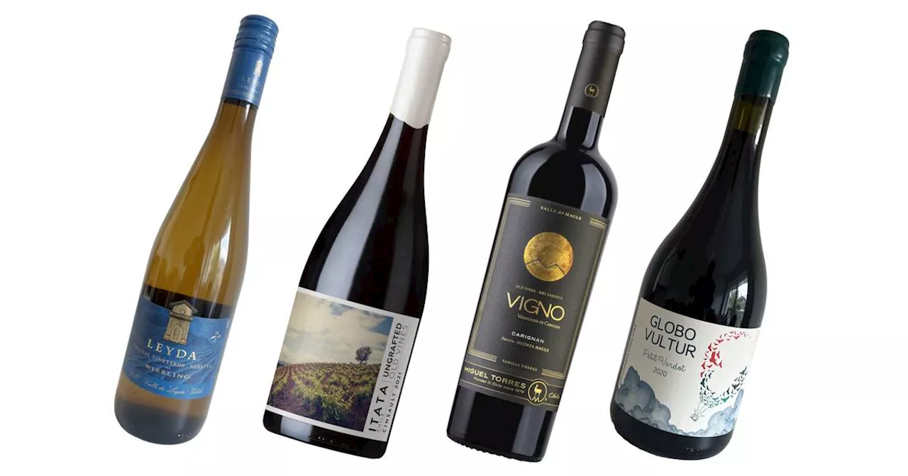 Chilean wines: four lesser-known bottles worth seeking out