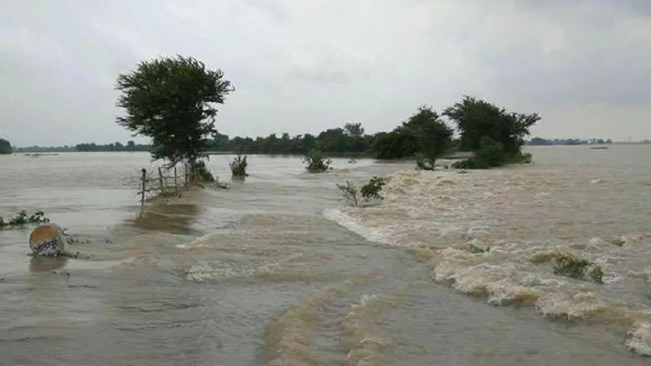 बंग्लादेश में कहर बनकर आई बारिश, कई नदियां उफान पर; बाढ़ से 20 लाख लोग प्रभावित