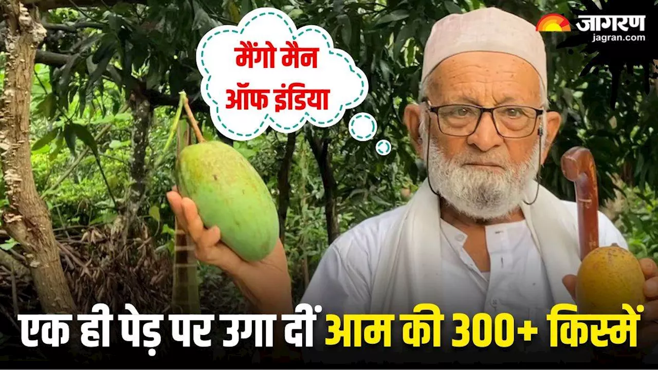 Mango Man Of India की कड़ी मशक्कत का फल है उत्तर प्रदेश का यह अनोखा पेड़, एक साथ लगते हैं 300 किस्म के आम