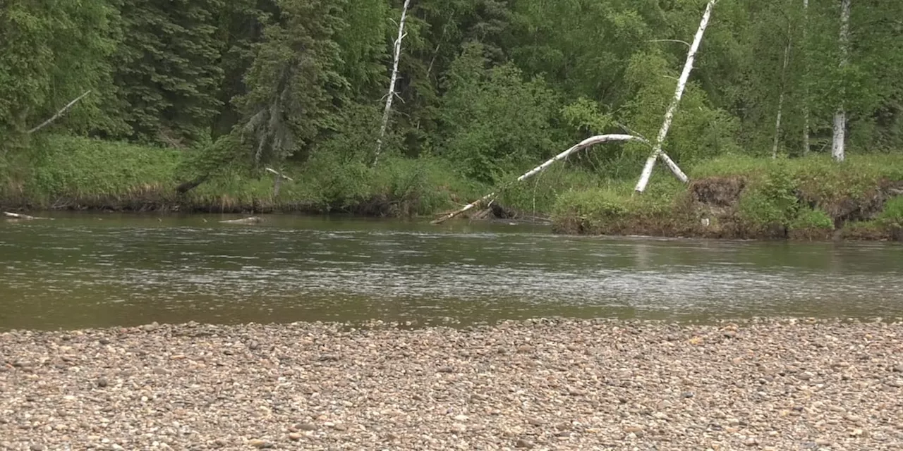 River Report: Salmon runs enter interior rivers