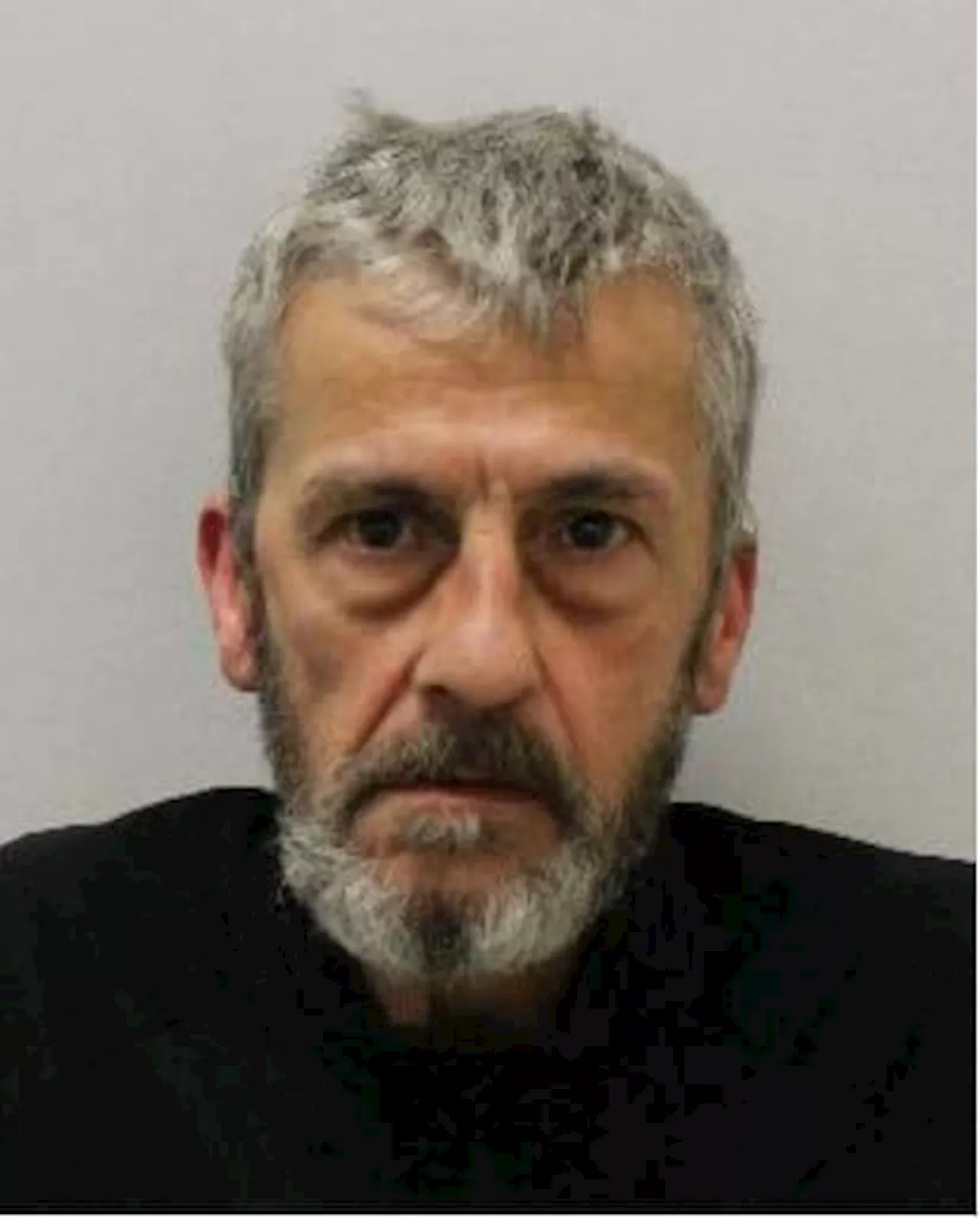 London Hendon: Prolific burglar caught hiding in garden shed by police ...