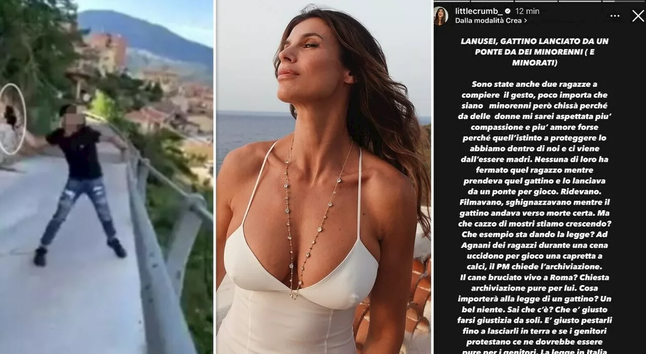 Gattino lanciato dal ponte, la rabbia di Elisabetta Canalis: «Minorati, filmavano e ridevano. Che esempio dà l