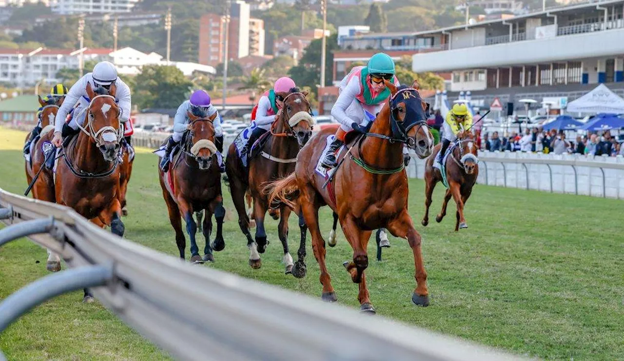 Clash of the ages on Saturday at Durban July as 3-year-olds take on seniors