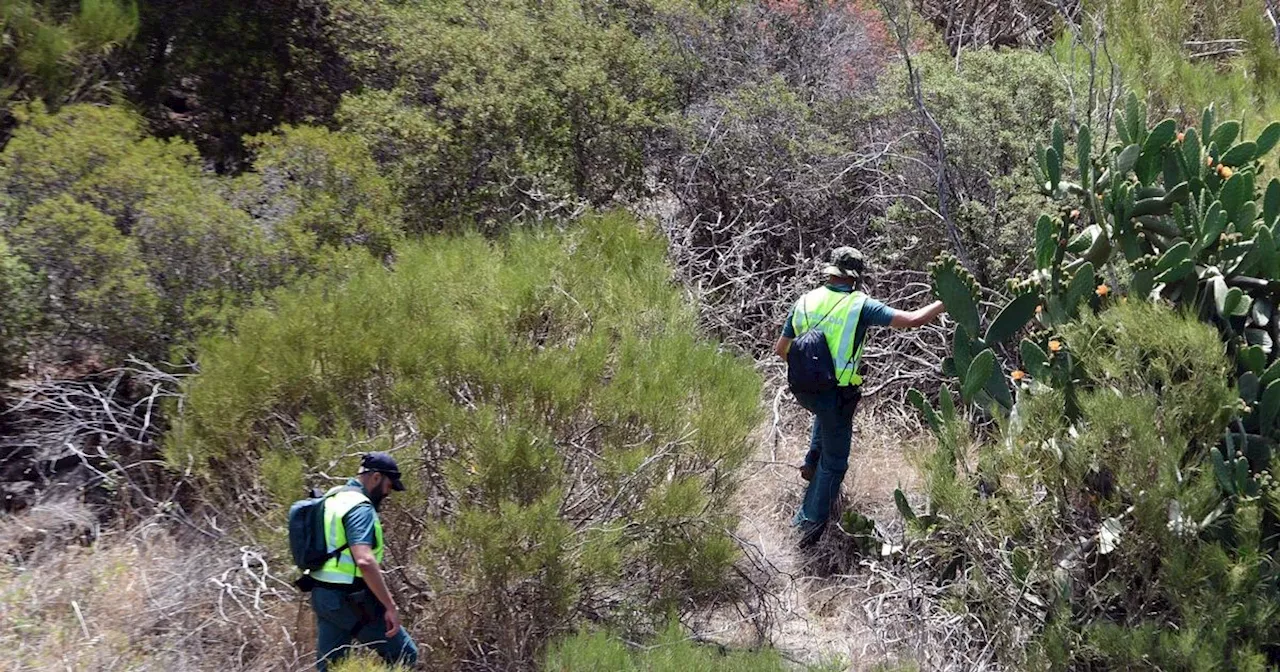 'Eerie signs of life' found in ravine where Jay Slater vanished