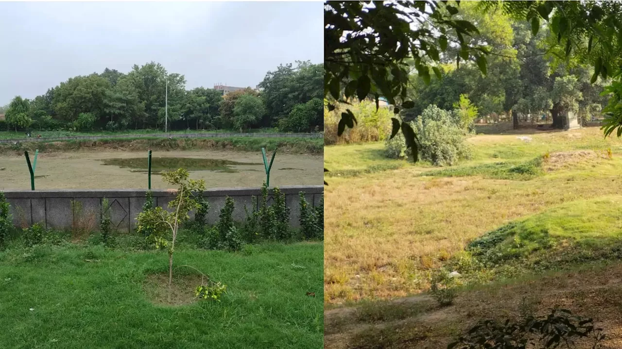 रिवाइव हो चुकी झीलें मॉनसून सीजन में भी पड़ी हैं सूखीं, आखिर क्यों हो रहा ऐसा?