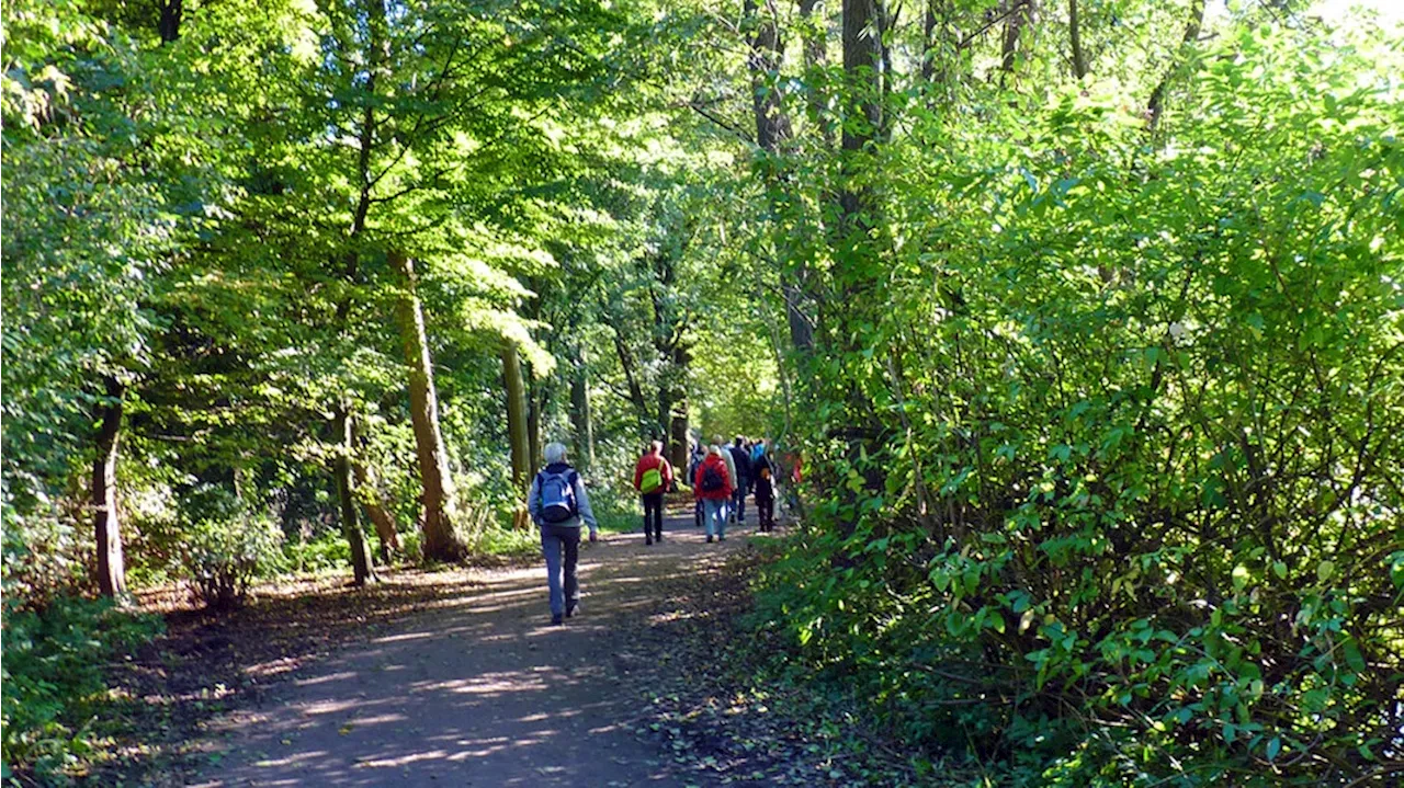 Pilgern in Hamburg: Spirituelle Spaziergänge durch die Stadt