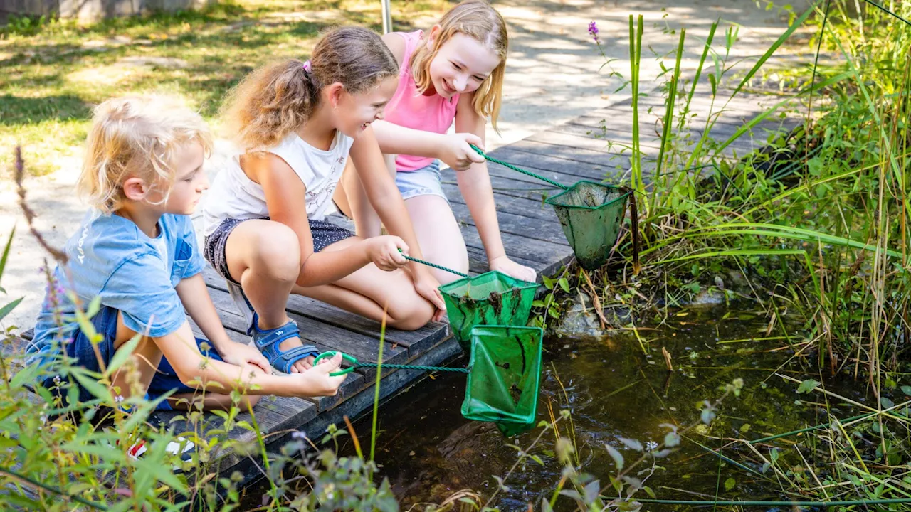 4.311 Kinder lernten auf der „Garten Tulln“ über Kreisläufe der Natur