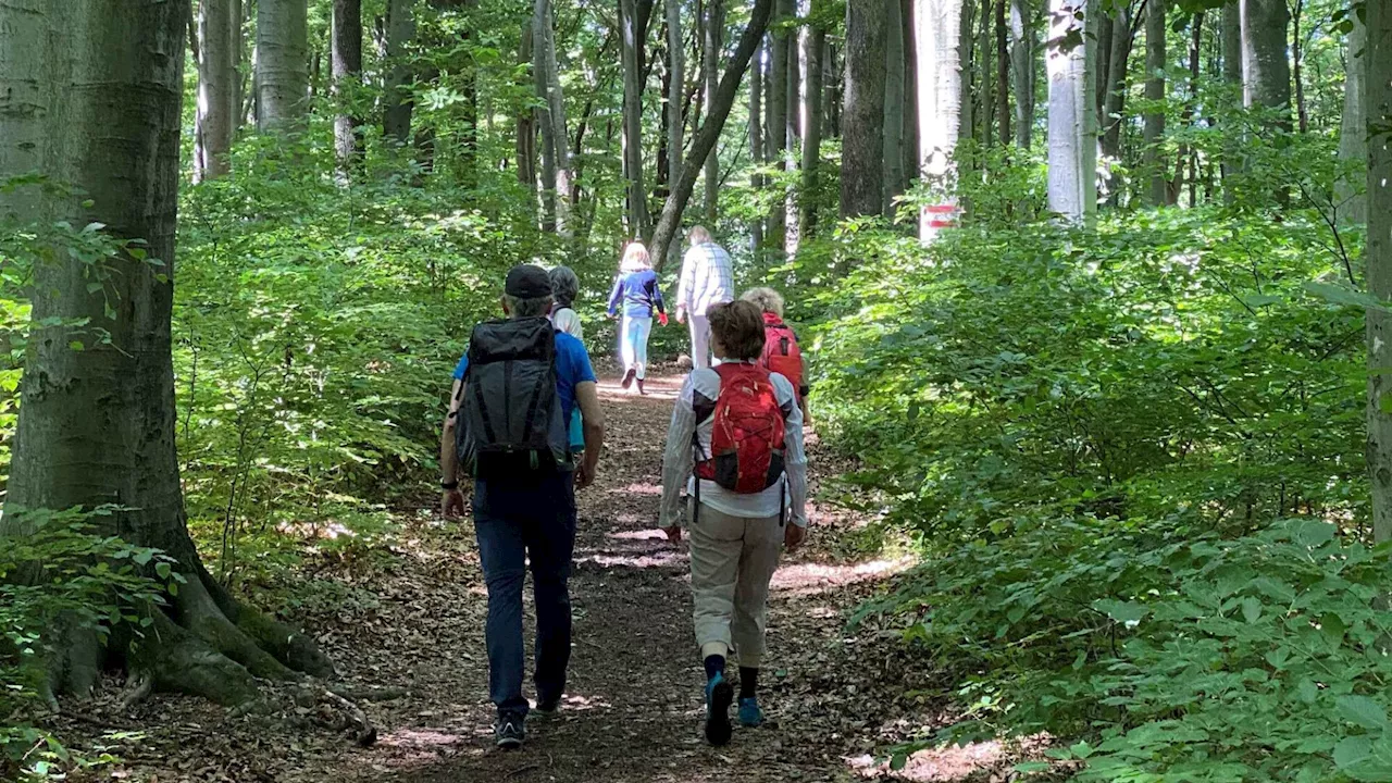 Ein Abenteuer im Wald mit der Stadtbibliothek Purkersdorf