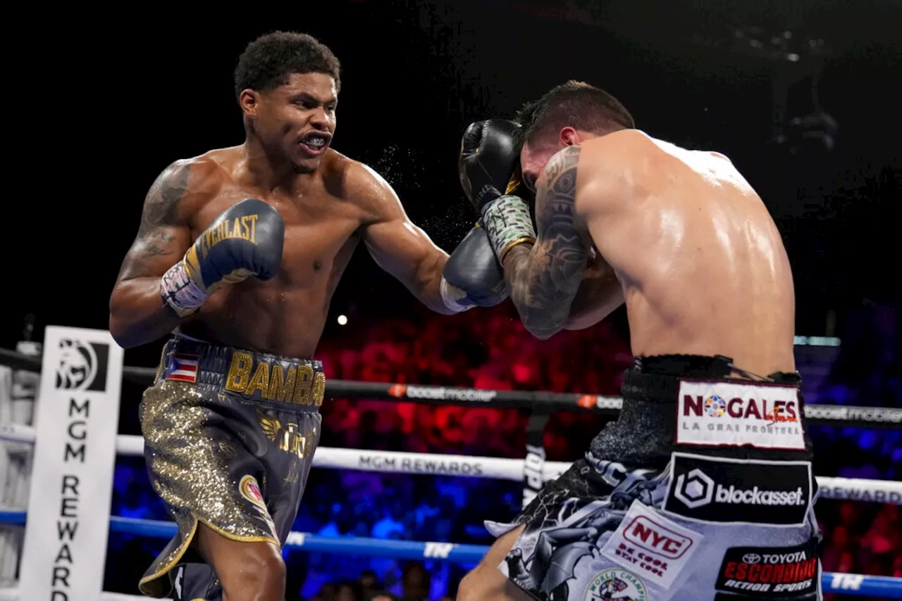 Shakur Stevenson vs. Artem Harutyunyan in WBC lightweight title fight: How to watch, details, tme