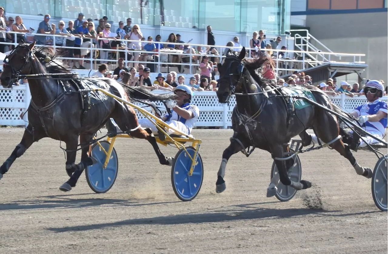 Harness racing driver James MacDonald captures 2024 Canadian driving championship