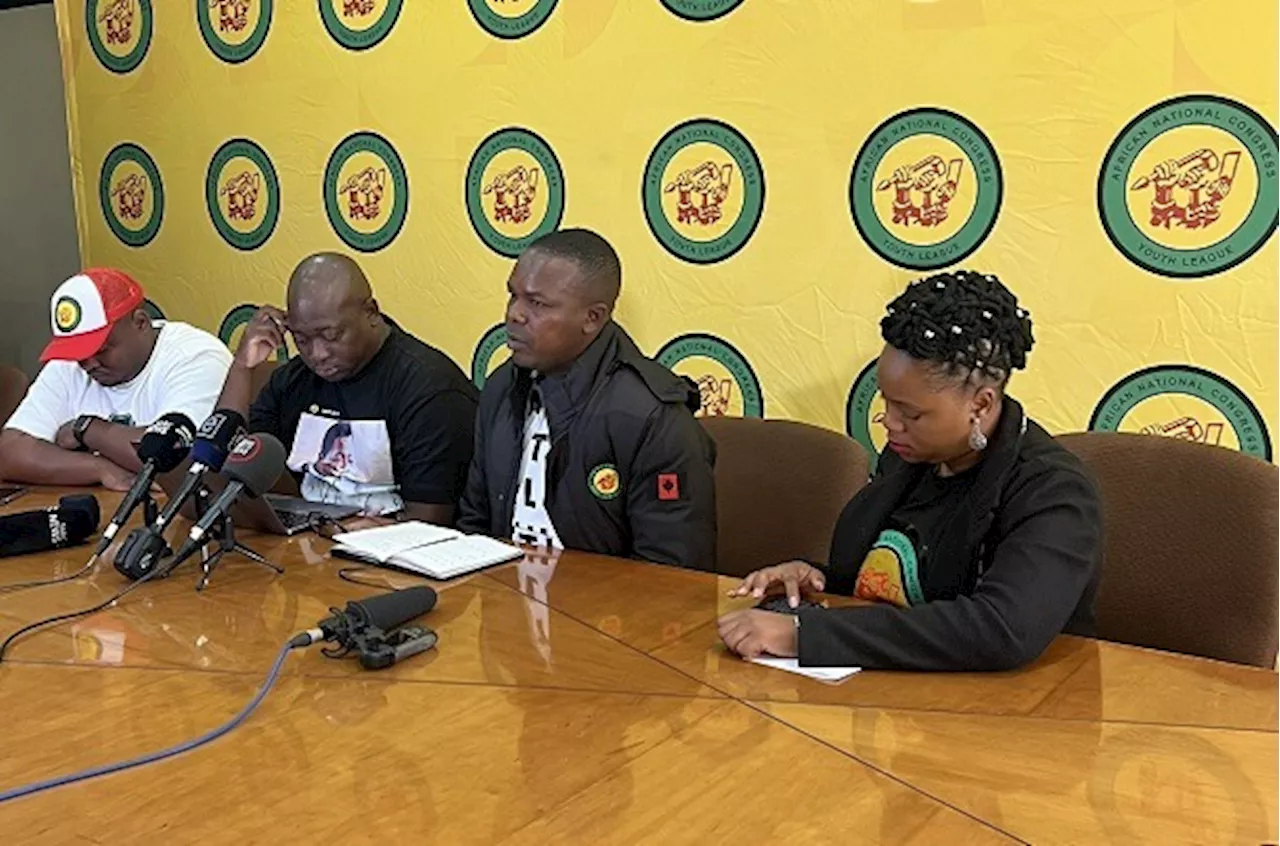 ANCYL criticises exclusion of youth in Gauteng MEC appointments - SABC News