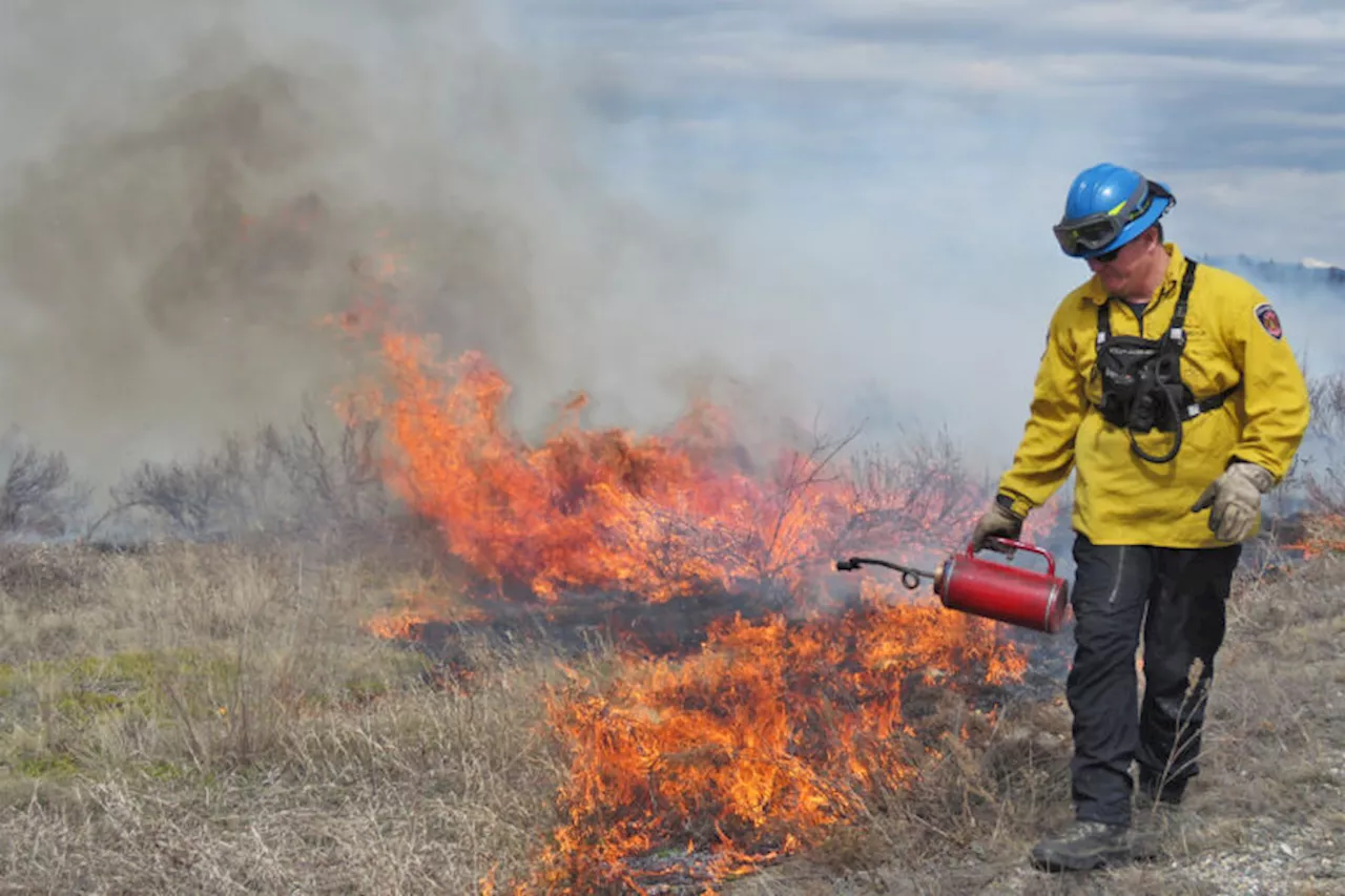 As the world burns, can we learn to live with wildfire health risks?