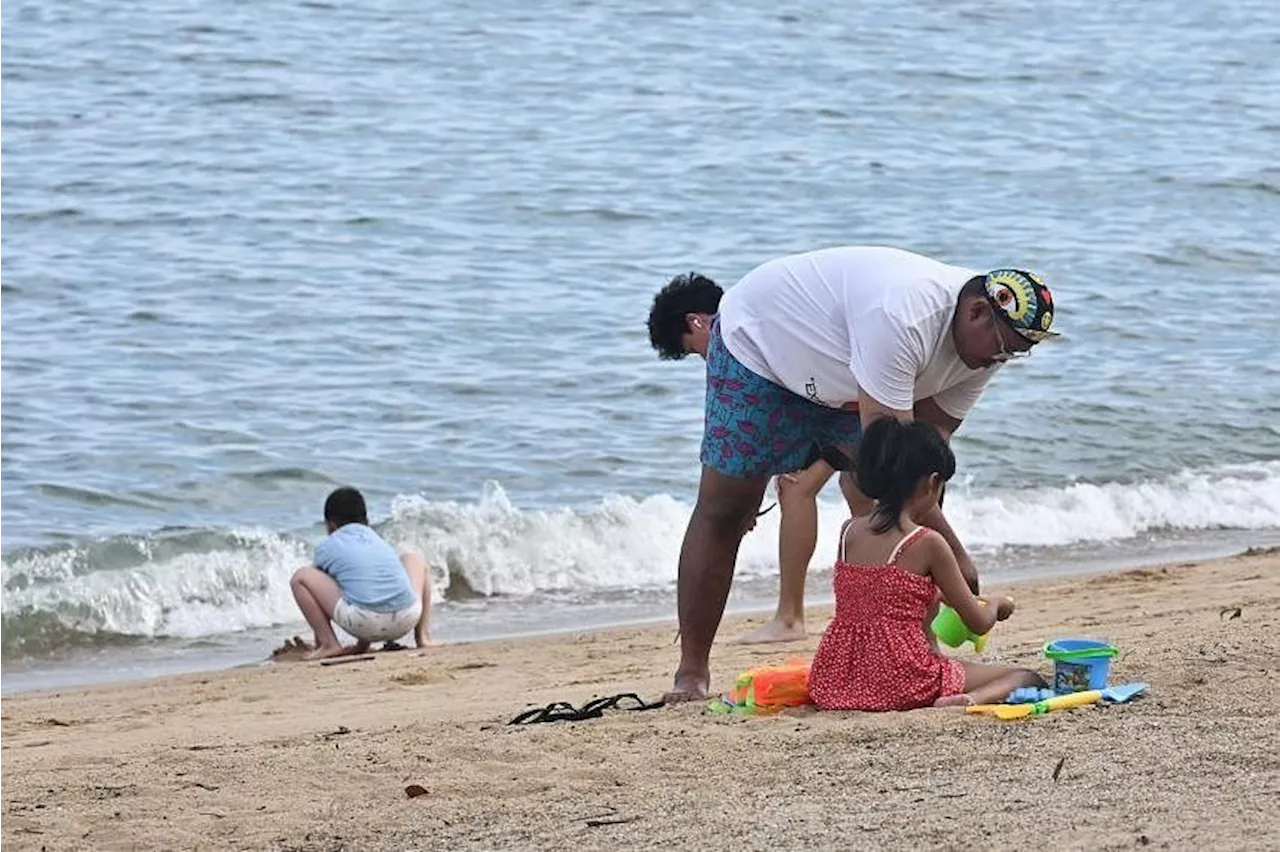 Doctors warn of health risks as people still enter sea at East Coast Park despite advisories after oil spill