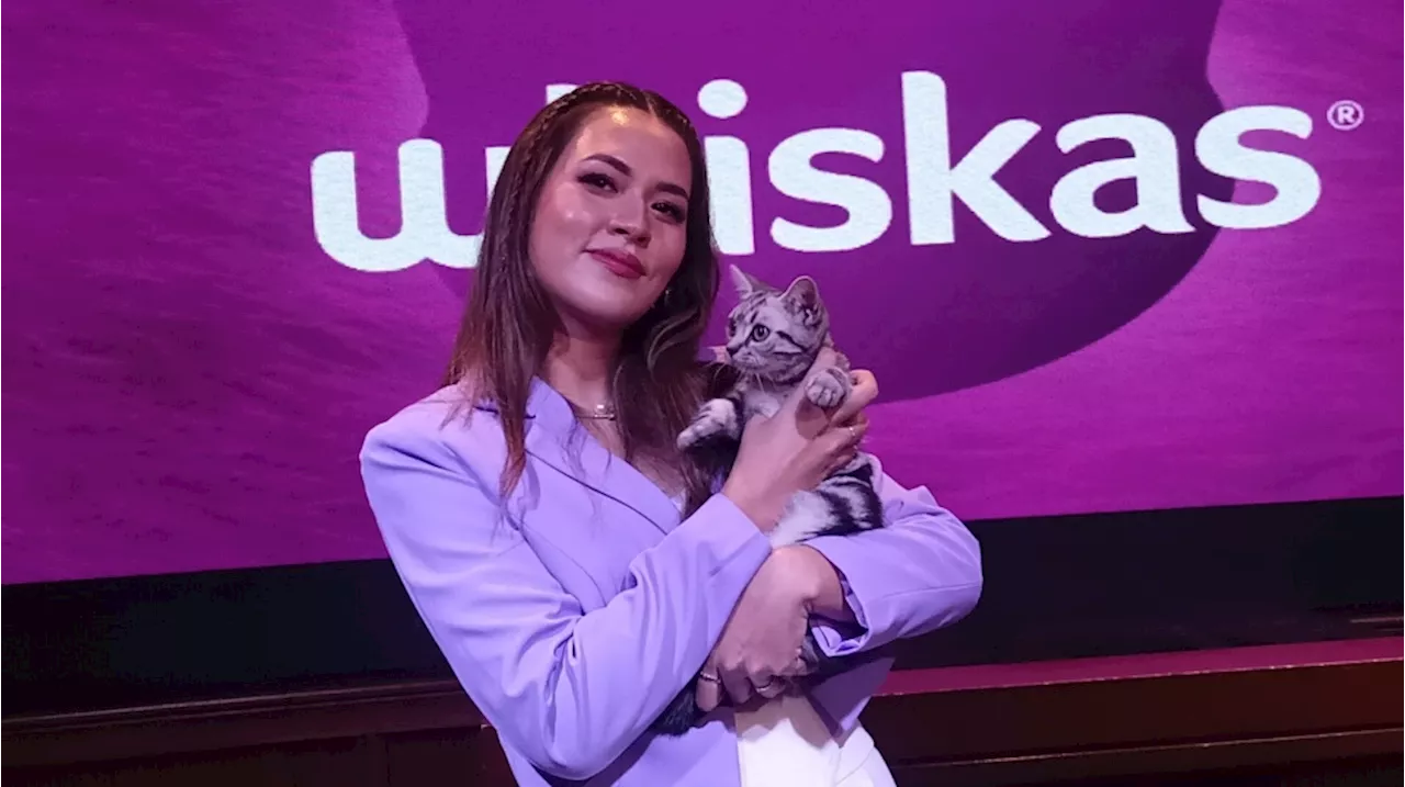 Pelihara 14 Kucing, Raisa Gelontorkan Biaya Seharga UMR Jakarta buat Makanan