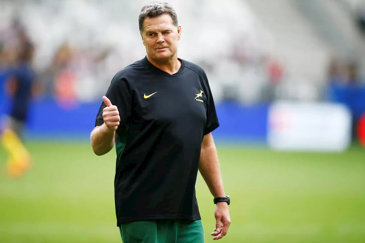 ‘Lekker, Rassie’: Springbok coach goes viral with ‘Irish fans are a bit windgat’ video