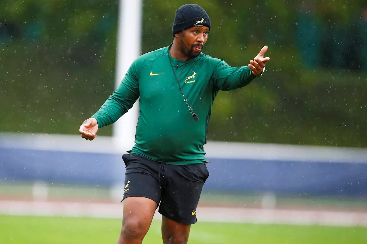 Springboks will stick to core strengths against Ireland while adding something new