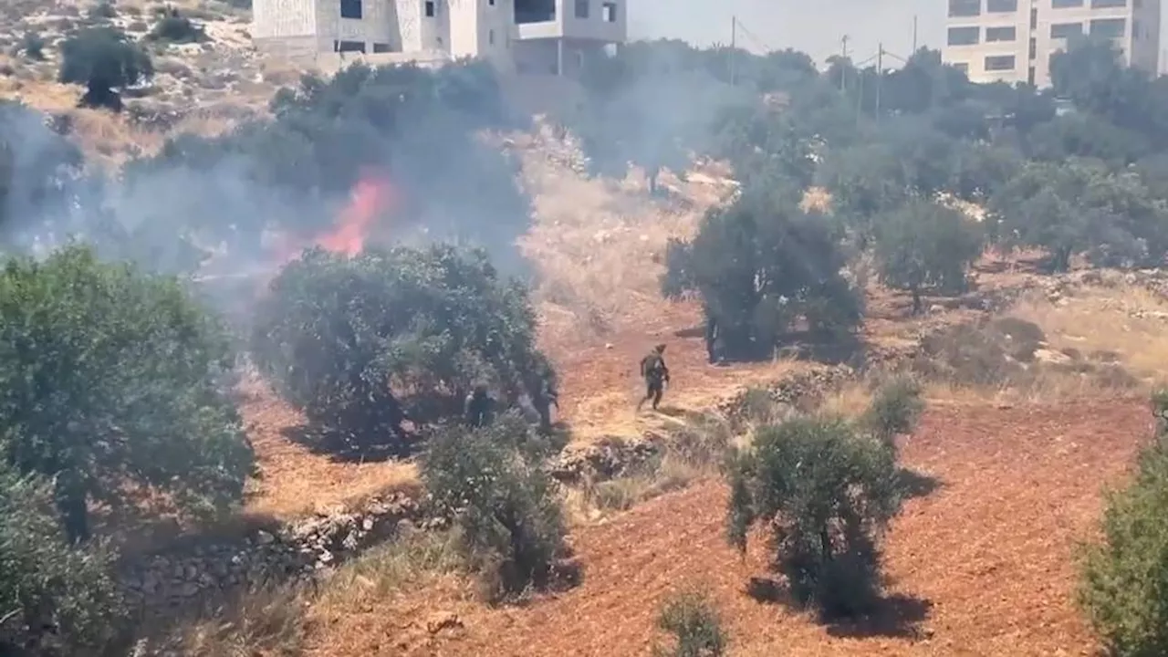 Illegal Israeli settlers torch Palestinian agricultural lands in West Bank