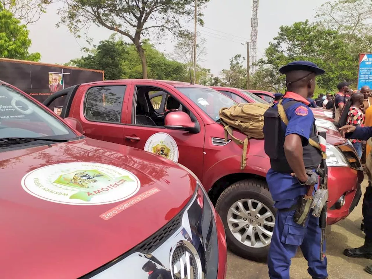 120 cows seized as herdsmen attack, injure Amotekun operatives in Ondo