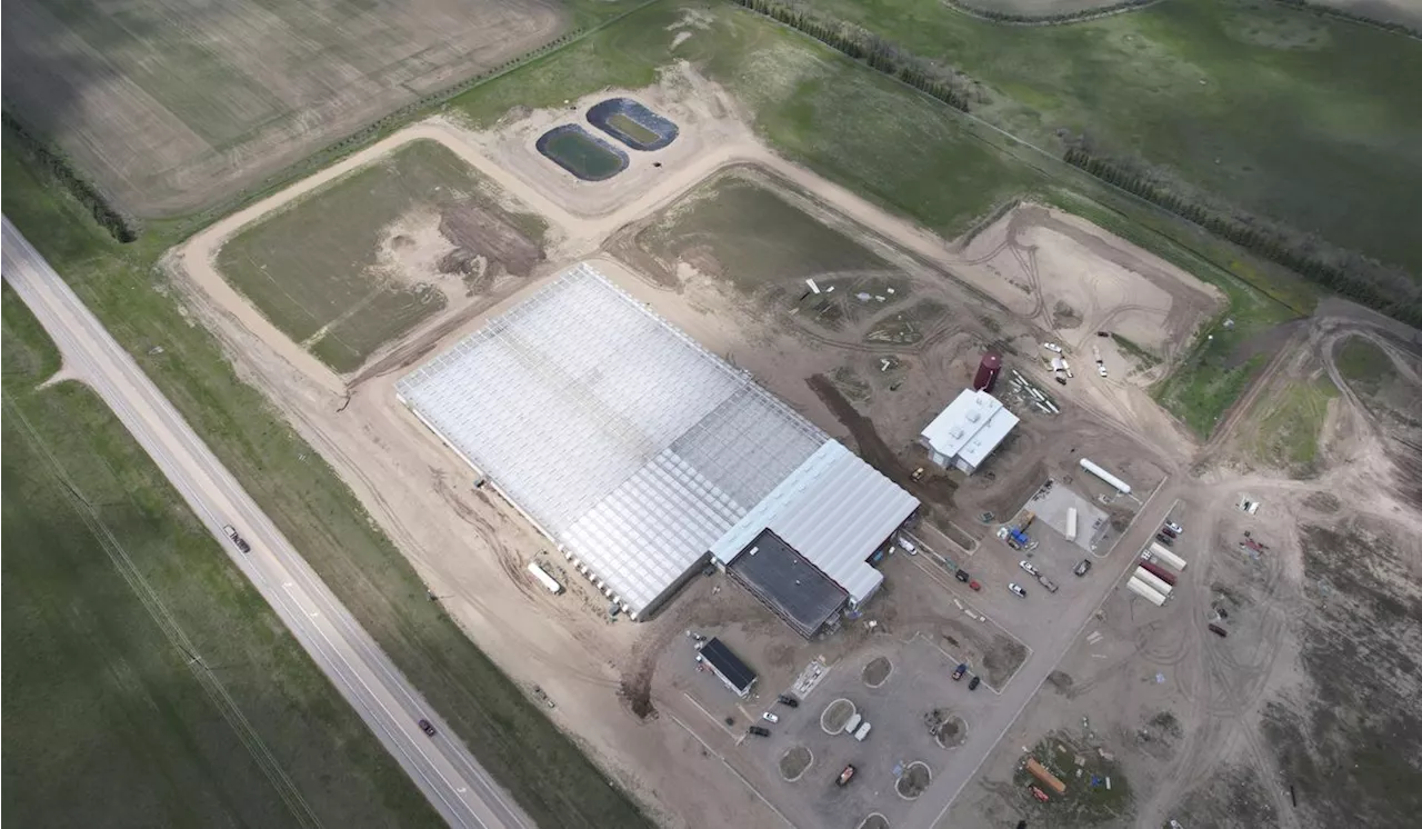 Native American tribe in North Dakota goes back to its roots with a massive greenhouse operation