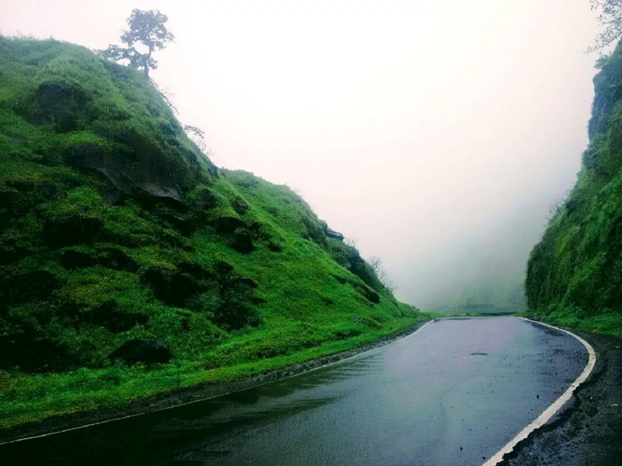 Maharashtra Weather News : राज्यात फक्त 'इथं'च मुसळधार; मान्सून सहलीच्या विचारात असणाऱ्यांना पाऊस देणार तुरी?