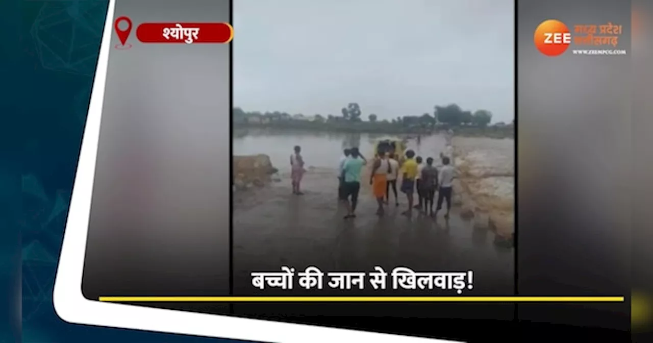 Sheopur Video: नदी के तेज बहाव में स्कूली बच्चों से भरी वैन, लापरवाह ड्राइवर ने जोखिम में डाली जान