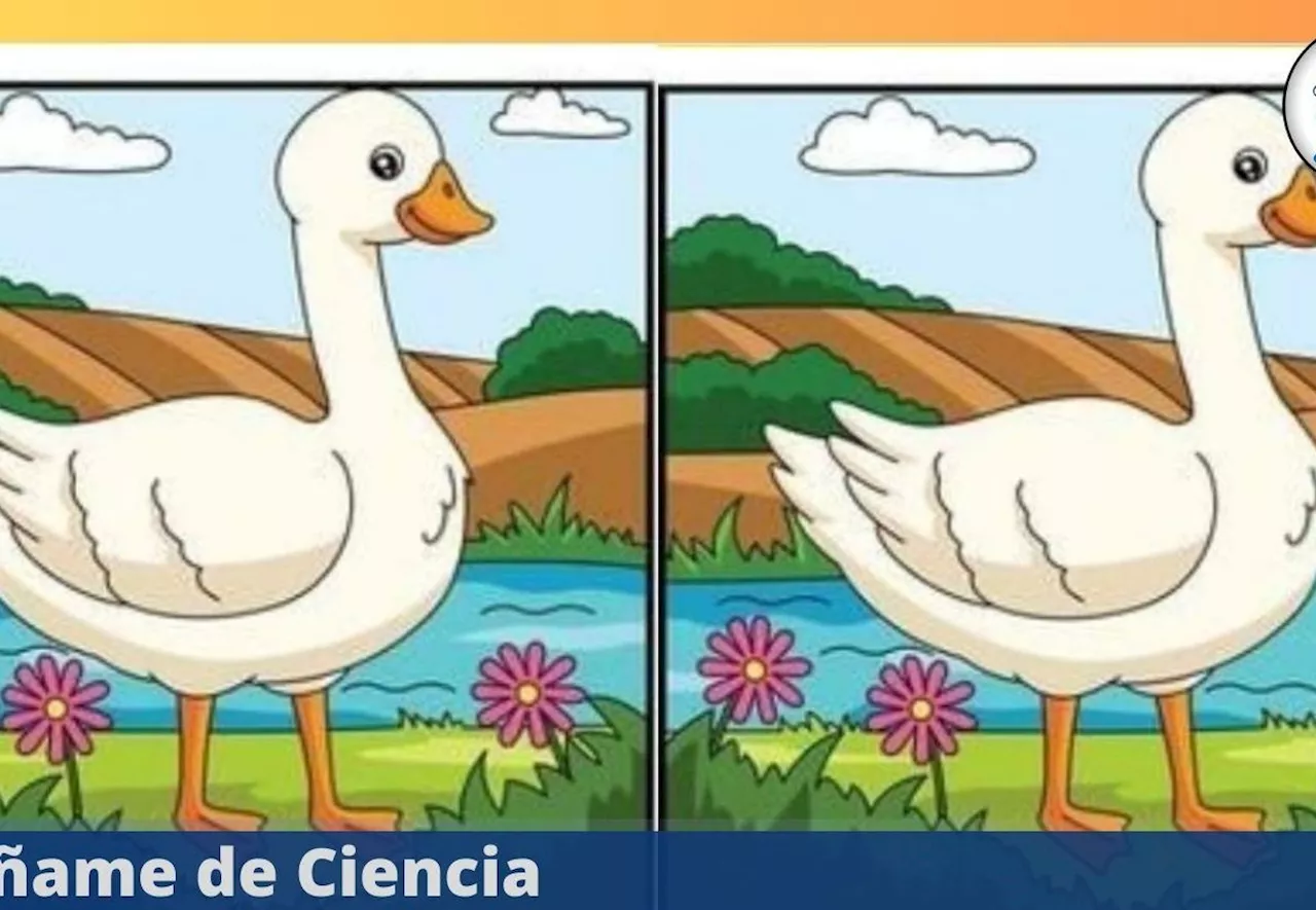 Acertijo visual DIFÍCIL: encuentra en tiempo récord las 6 diferencias en la imagen viral del PATO