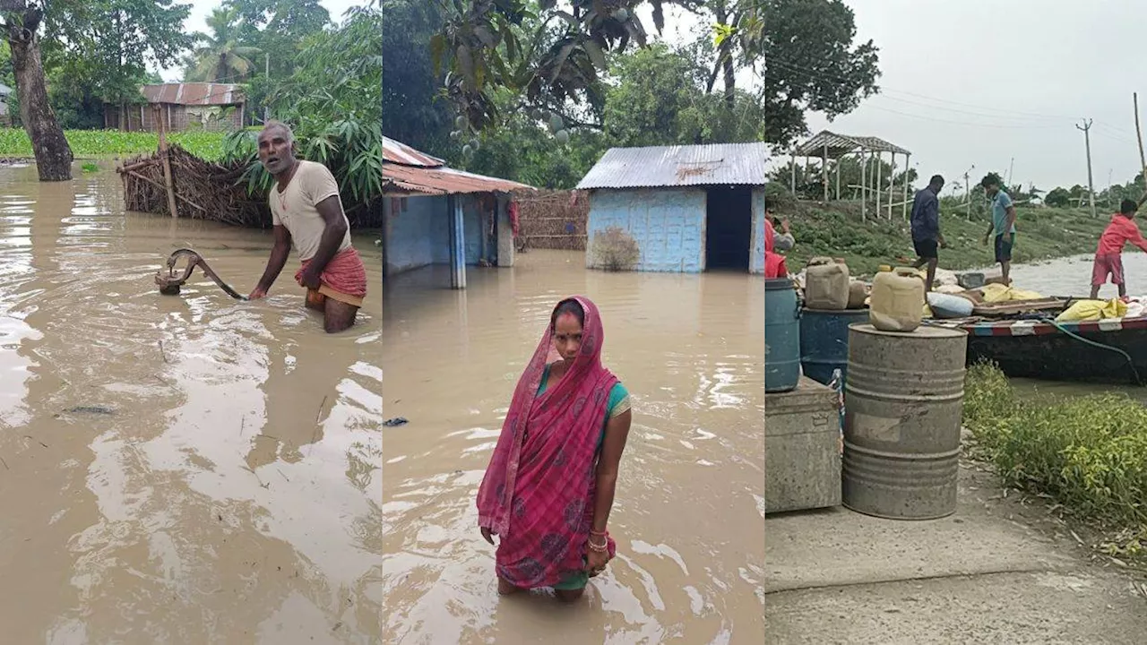 Bihar Flood: भारी बारिश के बाद विकराल रूप दिखा रही कोसी, गांवों में घुस रहा पानी; ऊंचे स्थानों पर पलायन को मजबूर ग्रामीण