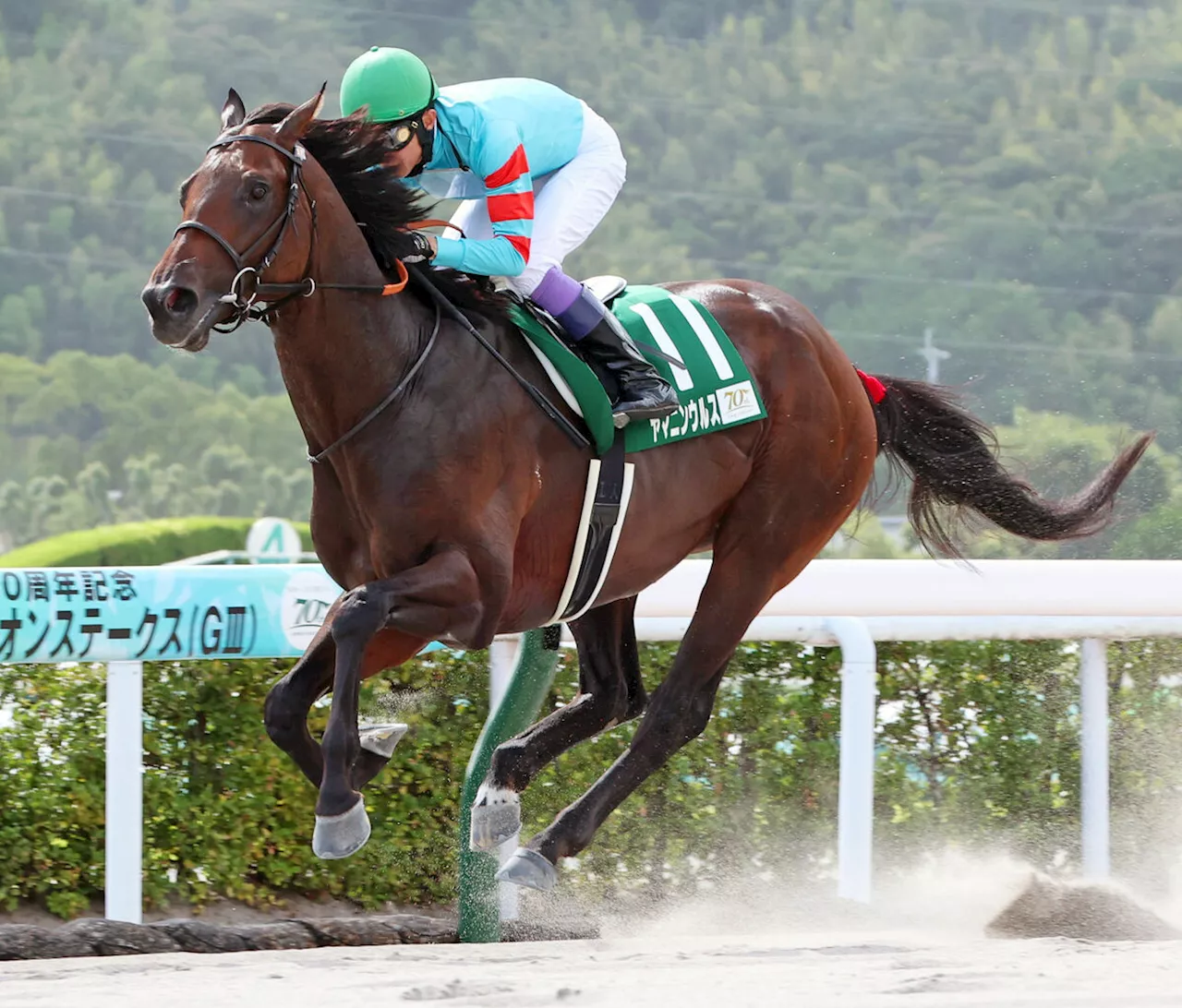 【プロキオンＳ】砂の新怪物が誕生 圧勝５連勝！無敗でのＪＲＡ古馬重賞初Ｖ 武豊「もっと強くなる」