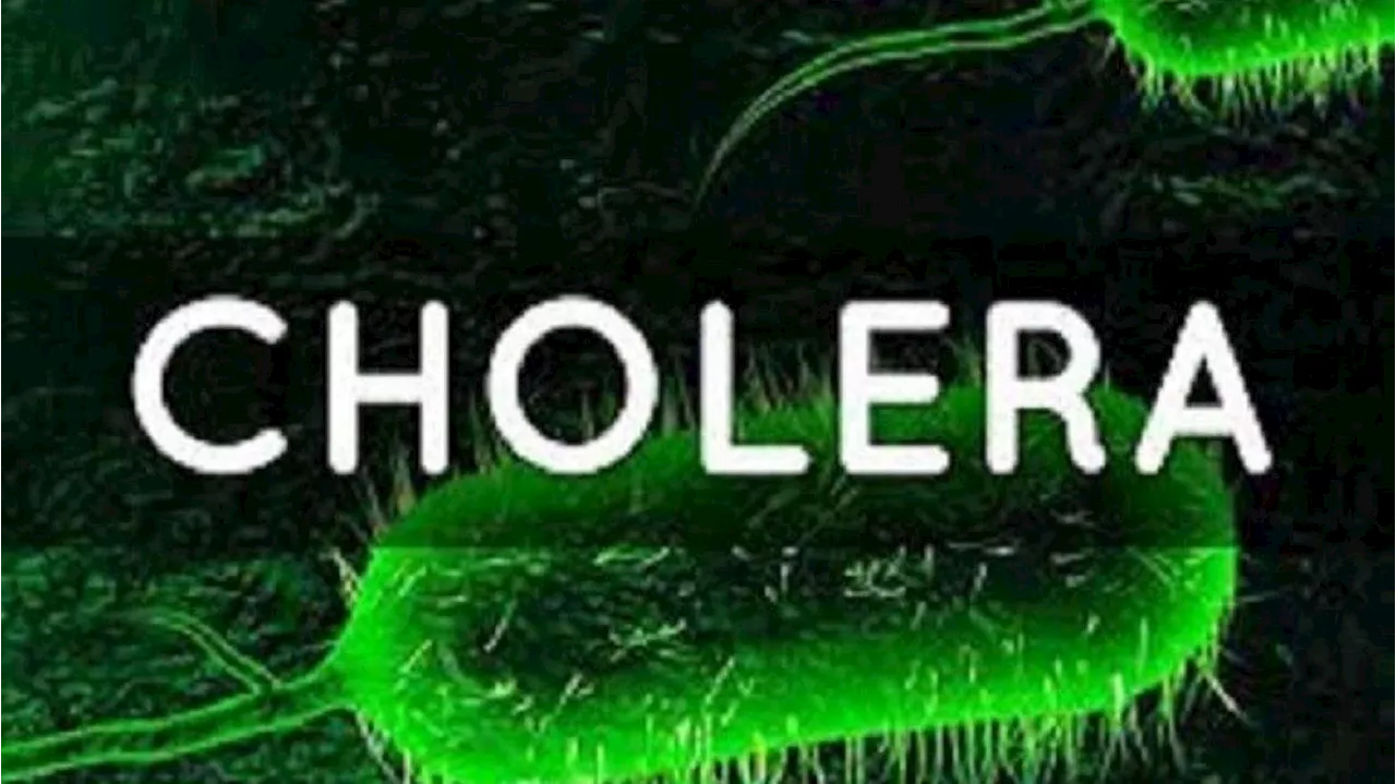 Cholera: NYSC allays fears of corps members in Oyo