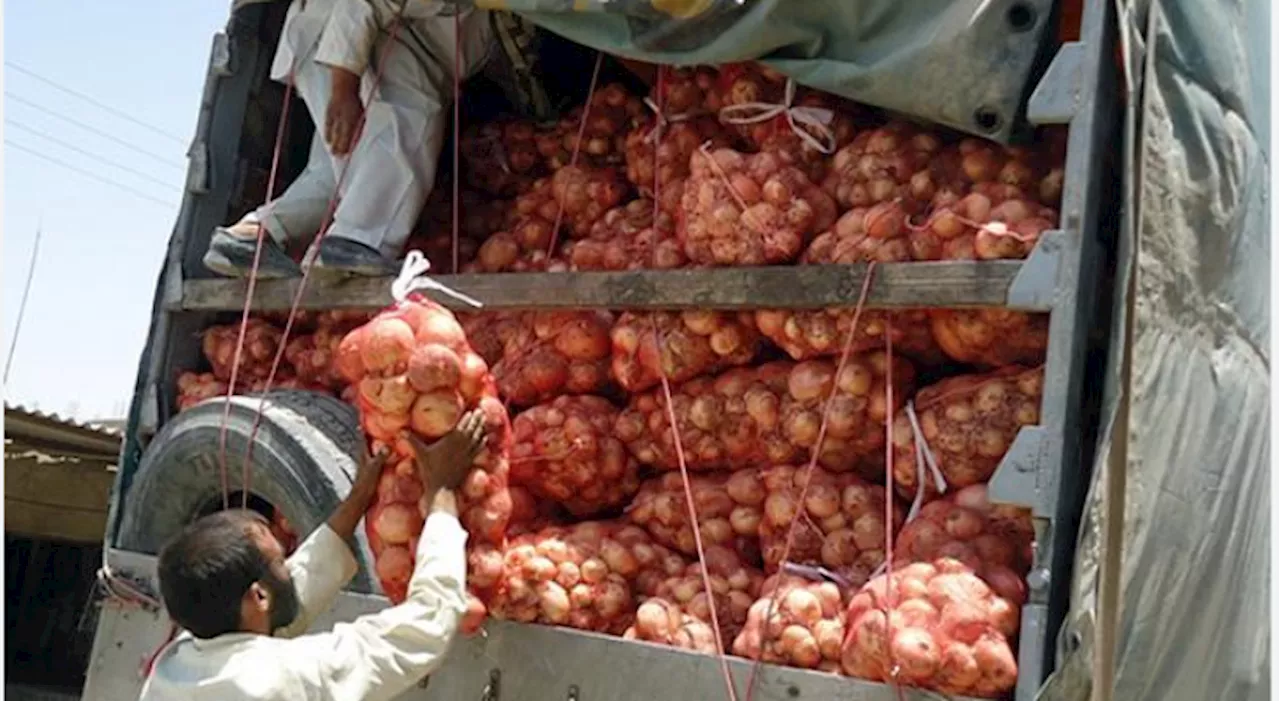 Afghan traders send first-ever onion shipment to India via Pakistan