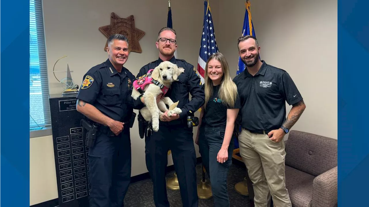 First CRT therapy dog sworn in for Douglas County Sheriff's Office