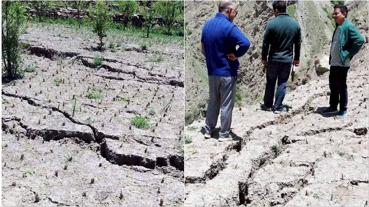 Ground Cracks Lindur Village: दरकते पहाड़, दरार और खतरे में गांव... हिमाचल में बन रहा दूसरा जोशीमठ