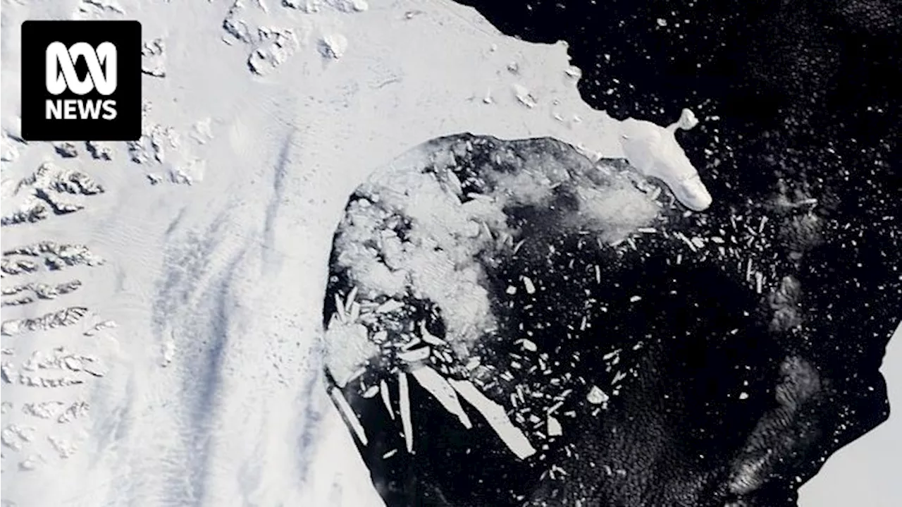 Researchers create 3D model of melting glaciers using historical photographs from Antarctica