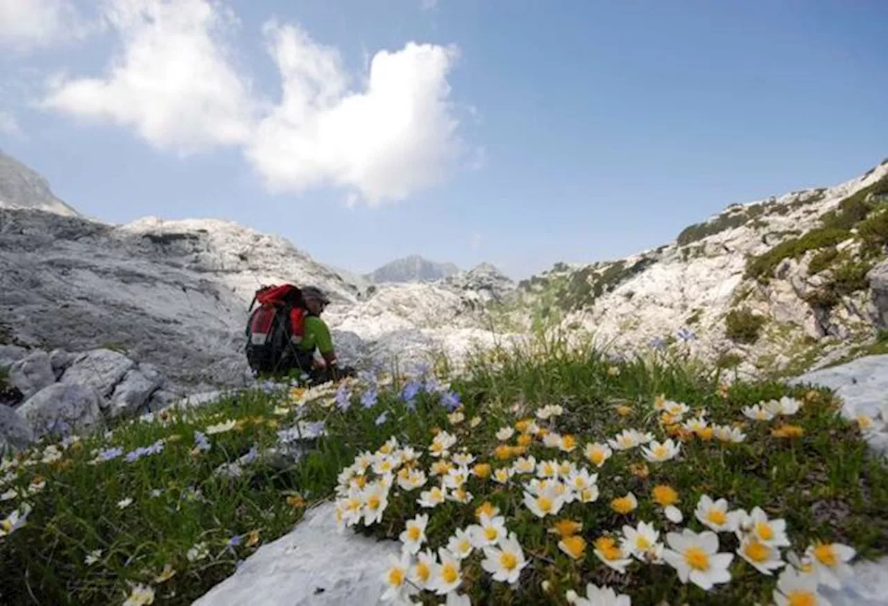 Unesco riconosce la Riserva transfrontaliera delle Alpi Giulie