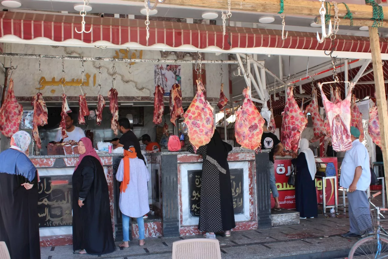 رئيس شعبة القصابين: قدوم شحنة عجول من الصومال.. وانخفاض أسعار اللحوم قريبا