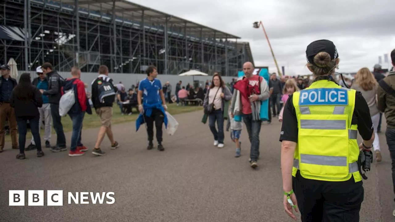 British Grand Prix: Police hail F1 'success' despite arrests