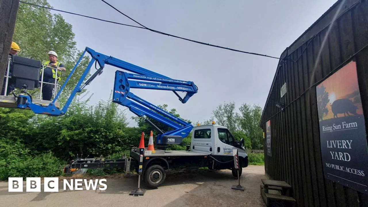 New nesting boxes installed for North Tyneside's swifts